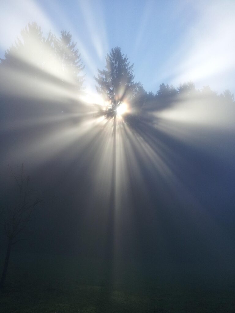 fog, tree, mood, sun, beyond, god, faith, nirvana, birth, rebirth, god, god, nature, god, god, god, faith, rebirth