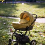 Yellow stroller in a grassy park setting, capturing a sunny autumn morning.