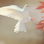 christmas background, dove, bird, flight, wings, white bird, flying dove, feathers, plumage, nature, ave, avian, ornithology, birdwatching, animal world, animal, flying, leaves, approach, autumn