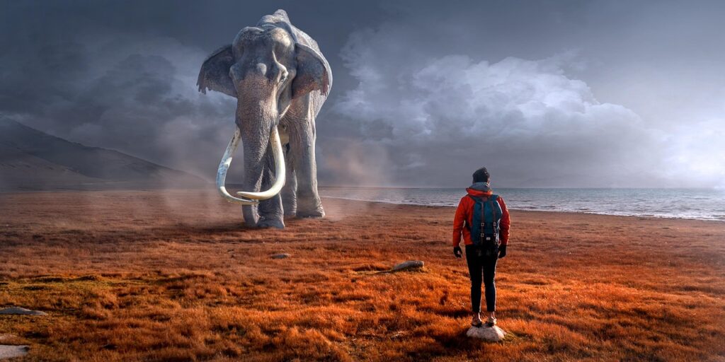 fantasy, elephant, man, composite, surreal, tusks, elephant trunk, giant, landscape, mystical, dream, fairytale, fantastic, mythical creatures, mammoth, photomontage, monstrous, gigantic, encounter, fantasy, elephant, elephant, elephant, elephant, elephant, man, man, man, man, dream