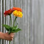 happy valentines day, hand, beautiful flowers, gift, bouquet, flower wallpaper, love, congratulate, give, flowers, flower background, bunch of flowers, offering, fence, nature, concept